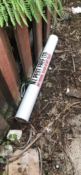 A branded NZ Pest Free bait tube set in native bush