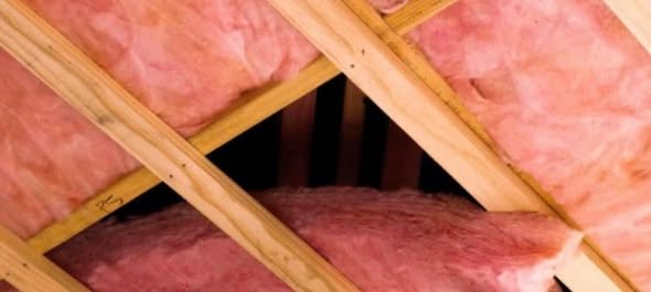 Roof framing and timber where borer and pests can take hold